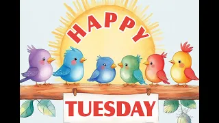 Happy Tuesday Wishes Beautiful Tuesday Blessings Positive Vibes