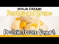 Ninja Creami Peaches and Cream Protein Frozen Yogurt