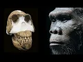 Homo Naledi May Have Been Pan African, New Evidence Suggests