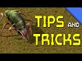 Factorio 1 1 tips and tricks Biters Edition 32 tips