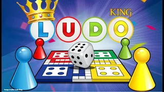 How To Play LUDO Tutorial Real Fun Family Board Game 