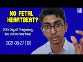 Week 7 of Pregnancy but still no fetal heartbeat Antai Hospital
