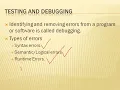 Testing Debugging Program Maintenance Program Documentation
