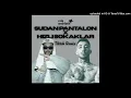 Sudan Pantalon x Hızlı Sokaklar - mixarchitect (Tiktok Remix)