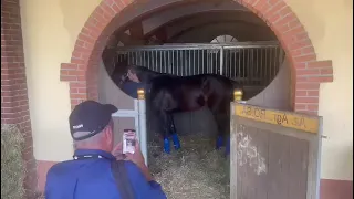 Frank Gio de retour a la maison