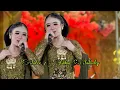 Download Lagu Satru 2 Niken Salindry terbaru live kediri