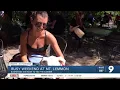Business booms on Mt Lemmon this summer