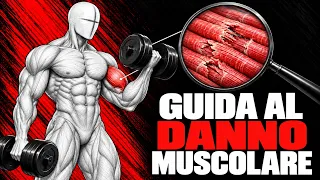 Il danno muscolare ostacola l'ipertrofia. Come evitare di sbagliare.