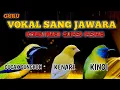 Download Lagu 2 jam masteran sang jawara super pedas kombinasi Cungkok,Kenari dan Kinoi Berjeda