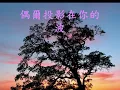 張清芳  偶然