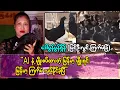 Download Lagu ဆန်တစ်ဆုပ်ကျွေးရတာခြင်း အိမ်တိုင်း ကမ္ဘာ့ဈေးကွက်ဝင်မယ့် ကြက်မဲမွေးသင့်တယ်