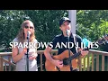 Download Lagu Sparrows and Lilies - Northern Skylight (Pat Barrett Cover)