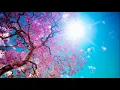 Download Lagu Odmori se uz ovo smirujuće učenje Kur'ana | Sura Tā Hā