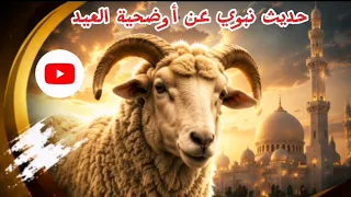 حديث الرسول الله صلى الله عليه وسلم عن أوضحية العيد     دندنها