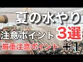 Download Lagu 夏の水やり　やったらダメなこと3選！とプラス1　夏越し対策