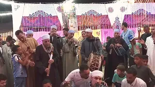 هاني الصعيدي فرحه عائله البرقى الكرنك النهضه مع عائله بدوى السيره الهلاليه ٢٠٢٠ ورقصه جميله 