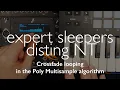 disting NT - Crossfade looping in the Poly Multisample algorithm