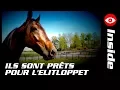 Download Lagu LES CHAMPIONS SONT PRÊTS