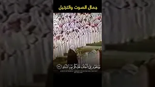 روائع الترتيل وجمال الصوت  الشيخ علي جابر  استمع  تلاوة مميزة  أرح قلبك بهذه التلاوة  اروع التلاوات دندنها