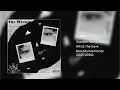 Lioness - Swedish House Mafia & Niki & The Dove 
