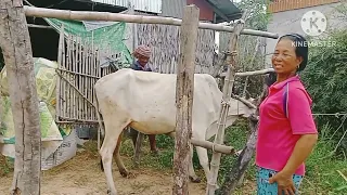 km 20260513 1080p 60f 20260513 165953