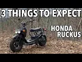 3 Things You MUST EXPECT getting HONDA RUCKUS