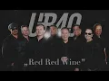 UB40 - Red Red Wine (Visualizer)