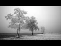 Ulrich Schnauss - Gone Forever