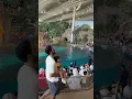 Yas Island Abu Dhabi Sea World Dolphin Show, Dubai Adventure #travel #traveller #family #dubai #kids