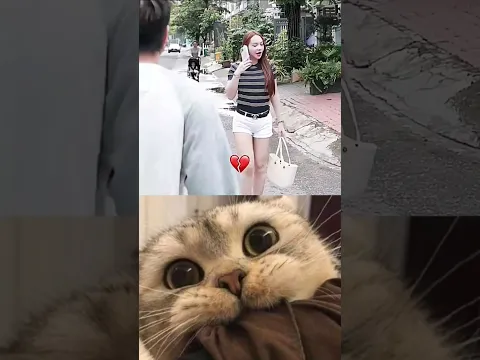 #aesthetic