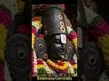 Download Lagu Srinivasa Govinda #srinivasagovinda #trendingdevotional #srinivasa #tirupatibalaji #tirumala