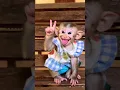 monkey,monyet ketawa #lucu #cutebaby