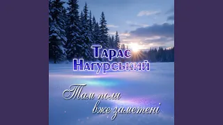 Там поля вже заметені 