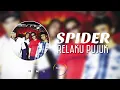 Download Lagu Spider - Relaku Pujuk (Lyrics Music Video)