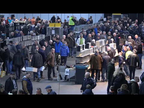 Vogelmarkt Vogelweelde in Hardenberg