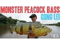 Lagu MONSTER PEACOCK BASS - Gong Lei - Tide Apparel