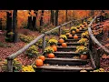 (No Ads) Autumn Relaxation Music 🍂 Peaceful Melodies to Soothe Your Soul & Find Inner Peace