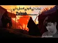 Download Lagu Azadar Hussain Haydri | Noha 2025 | Zainab Tay Koi Ahasan Naye