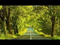 Download Lagu Relaxing Background Guitar Music - meditate, focus, study, think