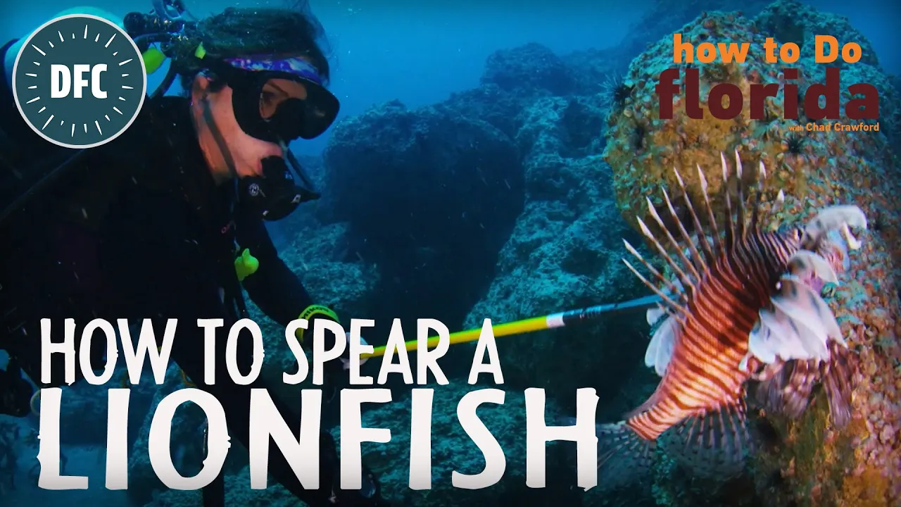 How to Spear a Lionfish | how to do Florida full episode