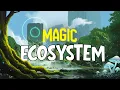 Bagaimana Jika Sihir Memiliki Ekosistem?