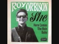 Download Lagu Roy Orbison - She (1967)