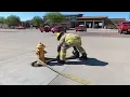 Engineers plug final