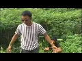 Download Lagu Nuturang timpal