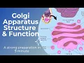 Golgi Apparatus Structure Function In 9 minute