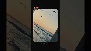 عبيدك من شتات في شتات 