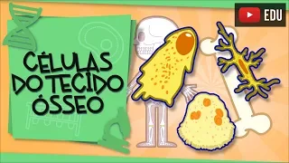 Células do Tecido Ósseo - construindo nossos ossos