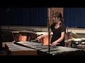 Clair de lune / Claude Debussy on Vibraphone