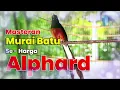 Download Lagu MASTERAN MURAI SEHARGA ALPHARD #muraibatu #kicaumania
