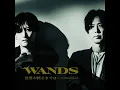 世界が終るまでは… ＆ 愛を叫びたい / WANDS(第5期)